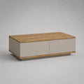 Table basse rectangulaire en panneaux mélaminés avec 2 tiroirs, chêne naturel et taupe, 120 × 60 × 40 cm